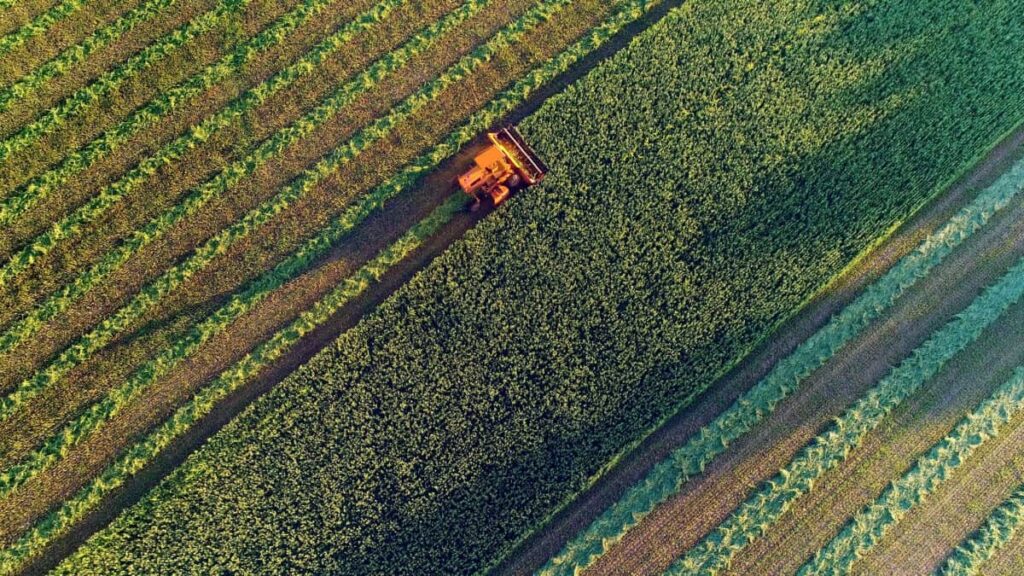 Agricultural harvesting at the last light of day, aerial view.