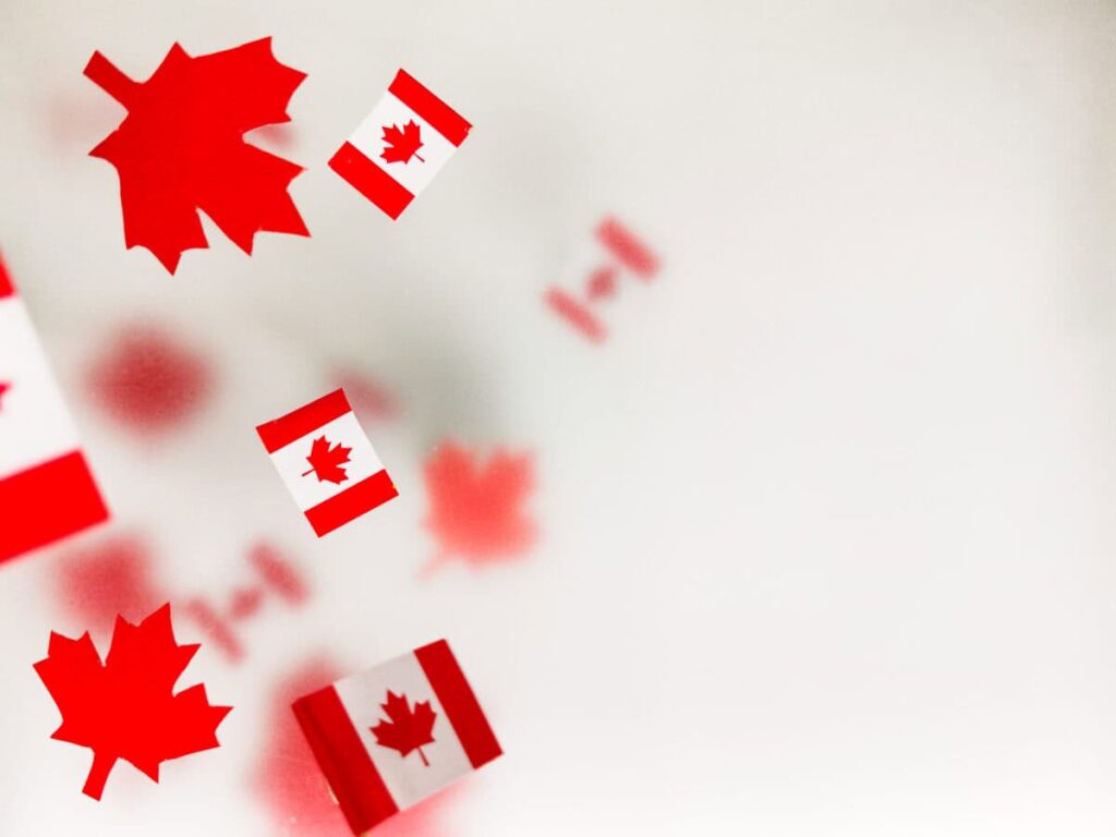 Why Canadians Love Dividend Stocks (and What Beginners Should Know)